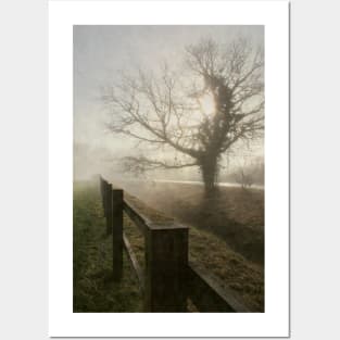 Foggy Morning Posters and Art